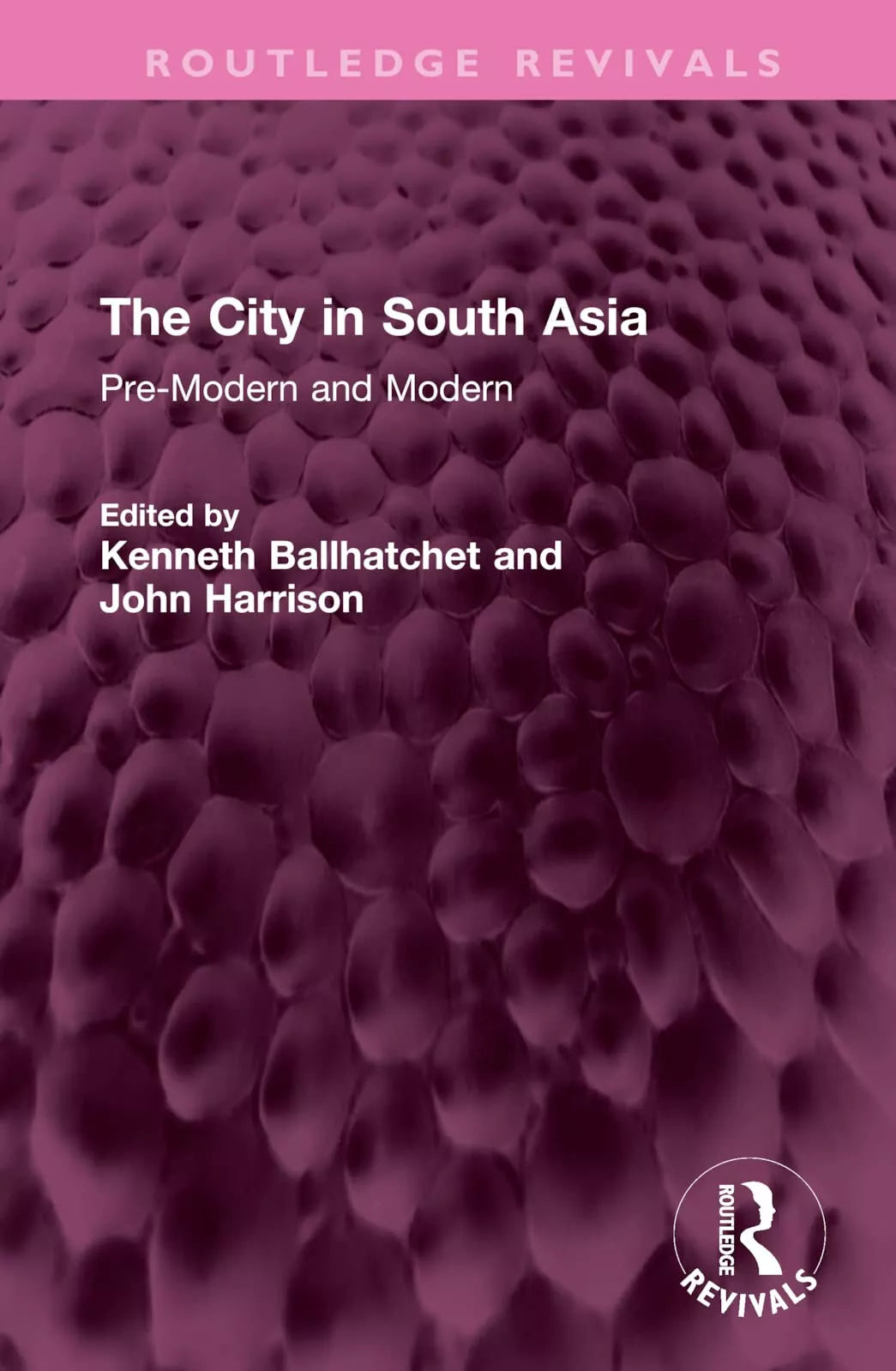 The City In South Asia