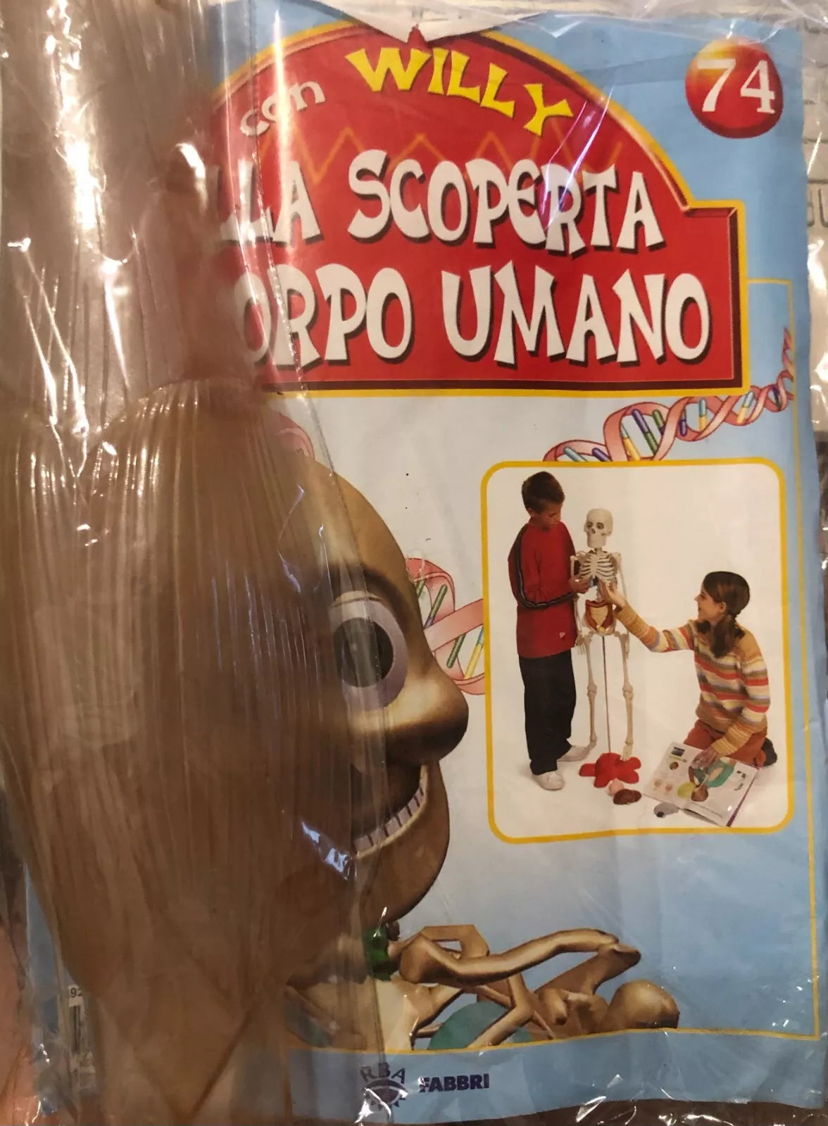 Alla scoperta del corpo umano con Willy n 74 Muscoli della gamba di Aa vv