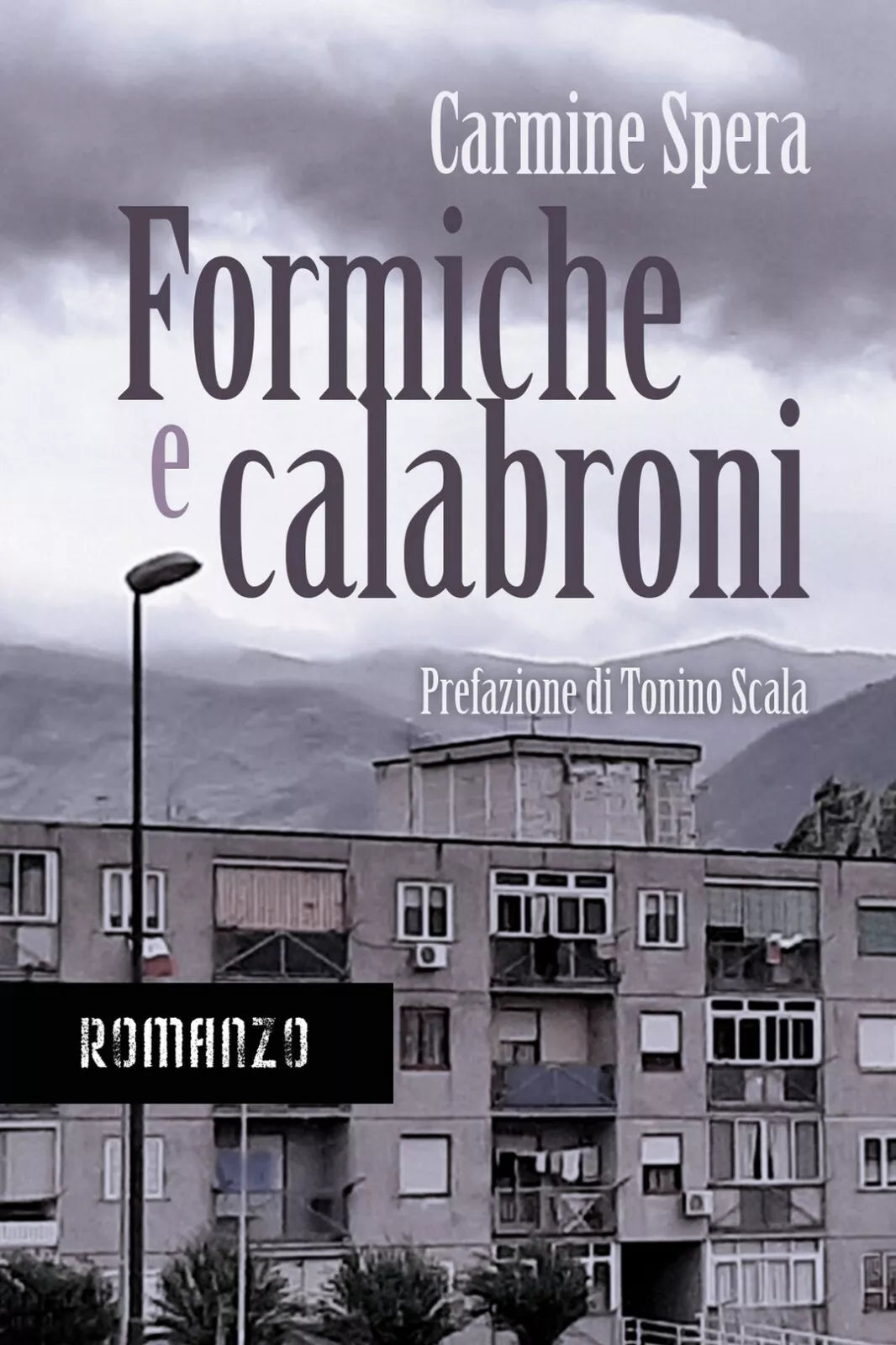 Formiche e calabroni di Carmine Spera, 2020, Youcanprint