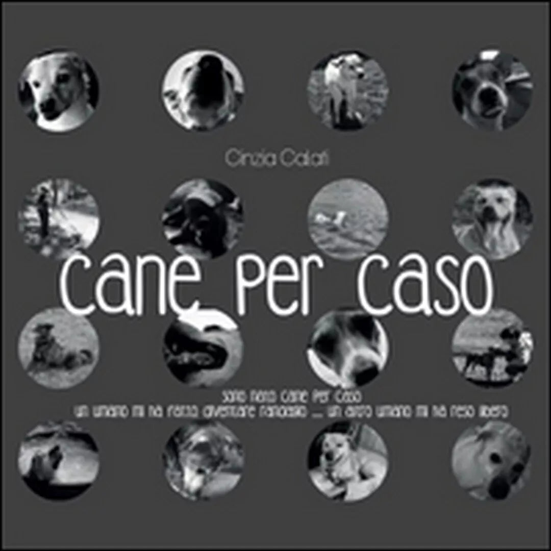 Cane per caso di Cinzia Calati, 2015, Youcanprint