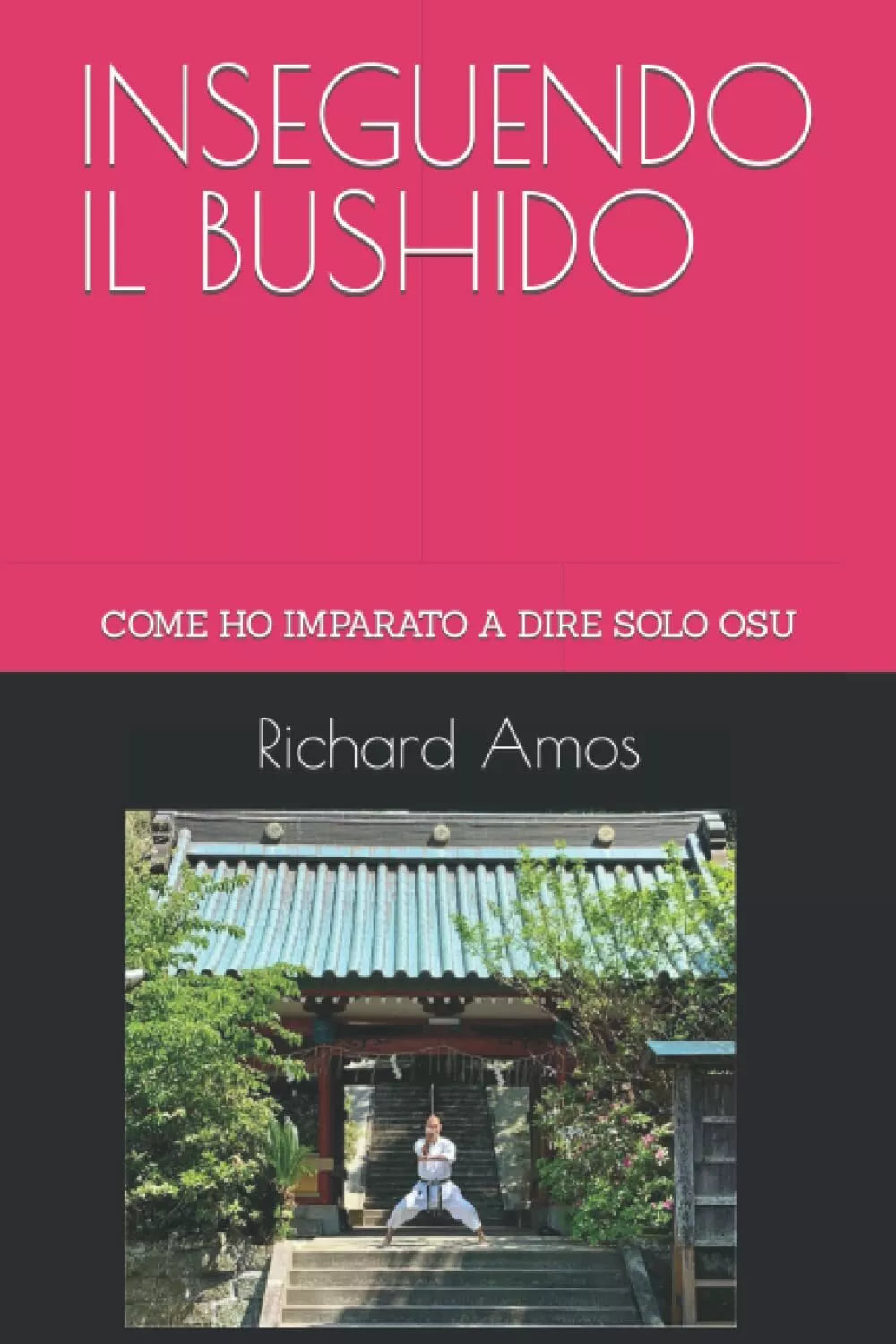INSEGUENDO IL BUSHIDO