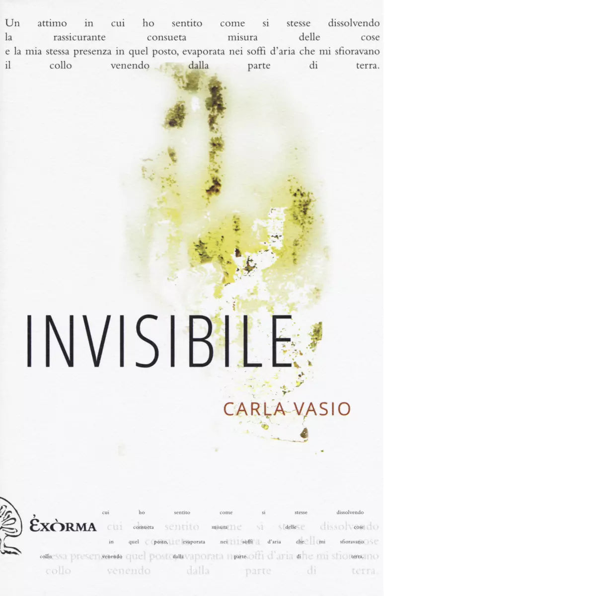 INVISIBILE di CARLA VASIO