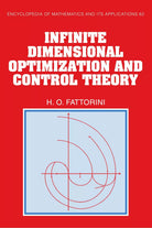 Infinite Dimensional Optimization and Control Theory