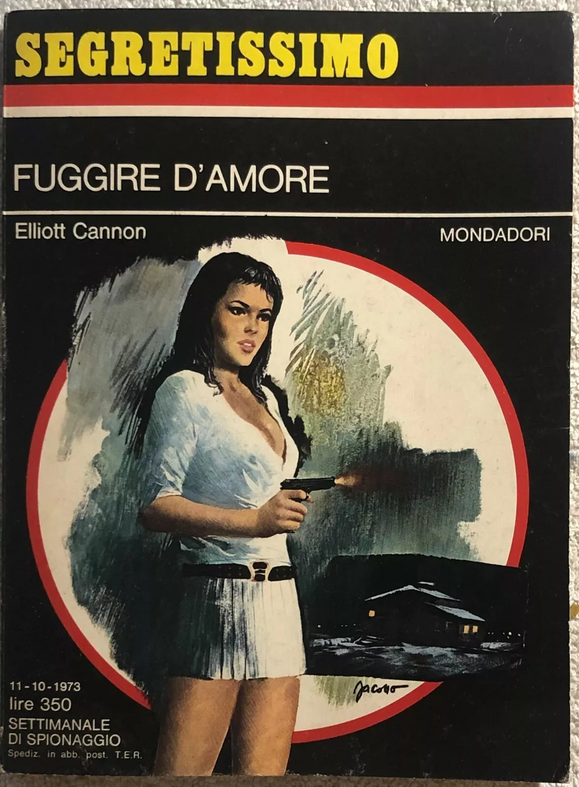 Fuggire d’amore di Elliott Cannon, 1973, Mondadori