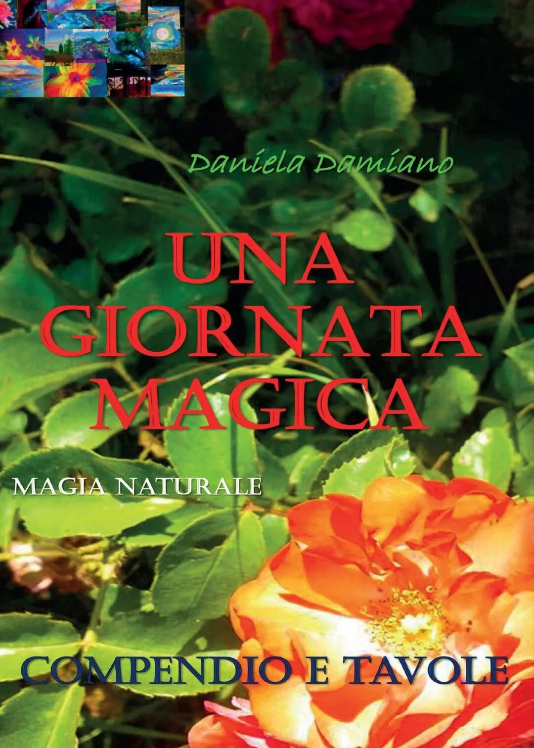 Una giornata magica di Daniela Damiano, 2016, Youcanprint