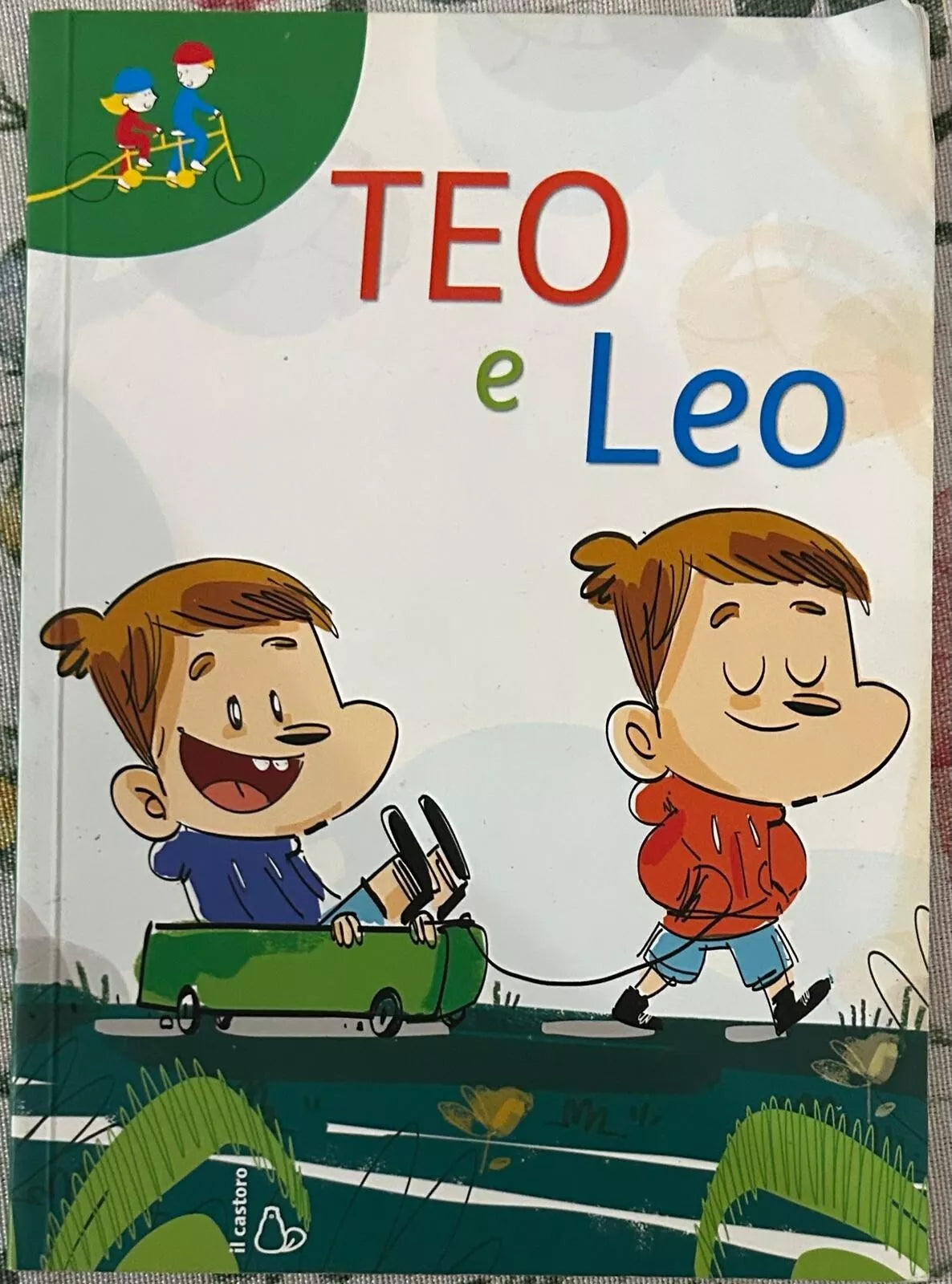 Teo e Leo Gemelli quasi uguali
