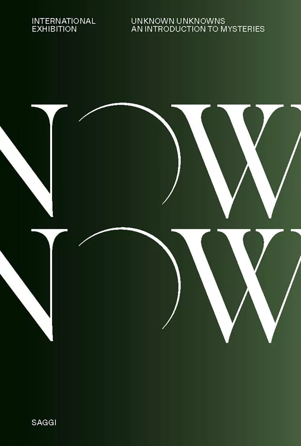 Unknown Unknowns An introduction to mysteries Saggi