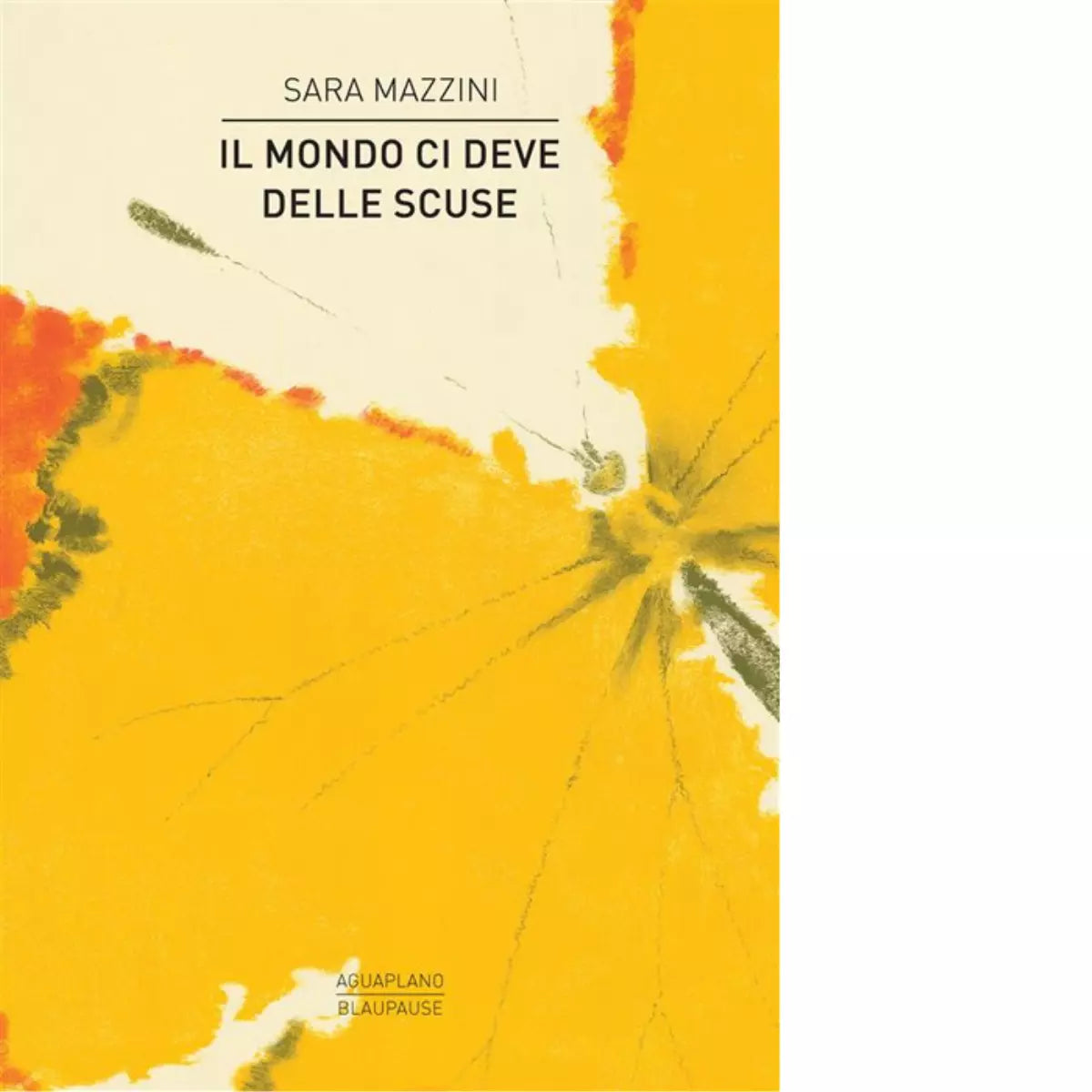 Il mondo ci deve delle scuse Libro di Sara Mazzini