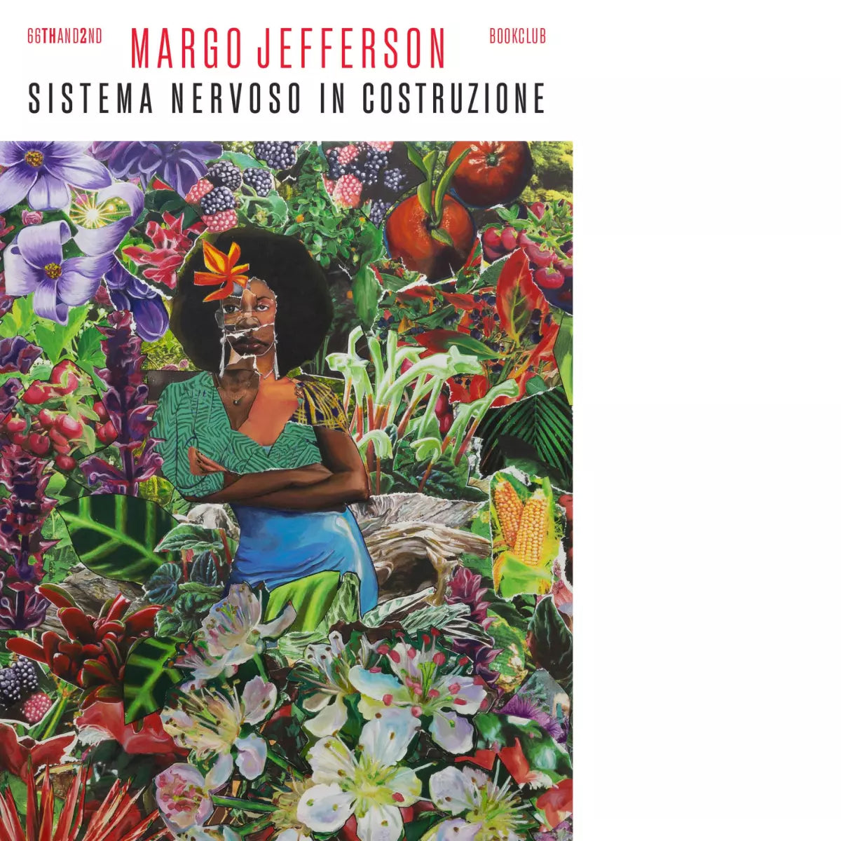 Sistema nervoso in costruzione di Margo Jefferson