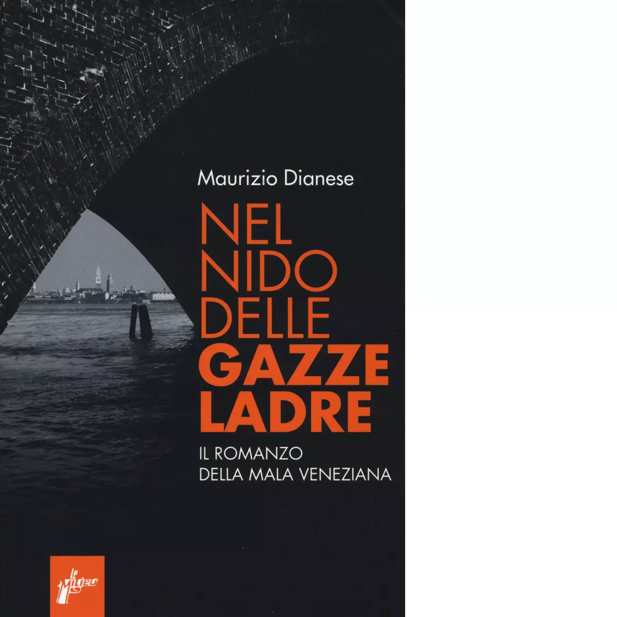 Nel nido delle gazze ladre Il romanzo della mala veneziana di Maurizio Dianese