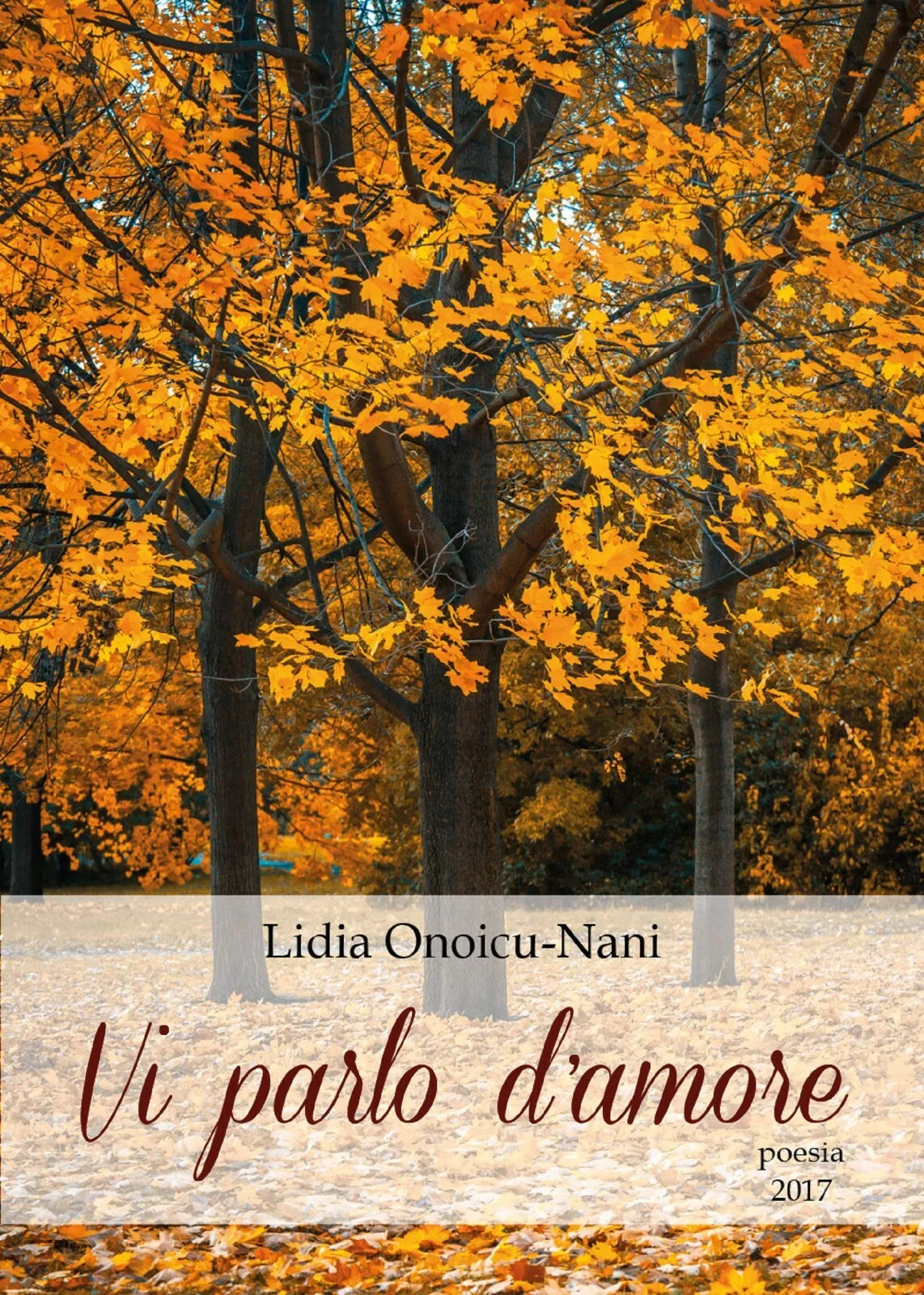 Vi parlo d’amore di Lidia Onoicu Nani, 2017, Youcanprint