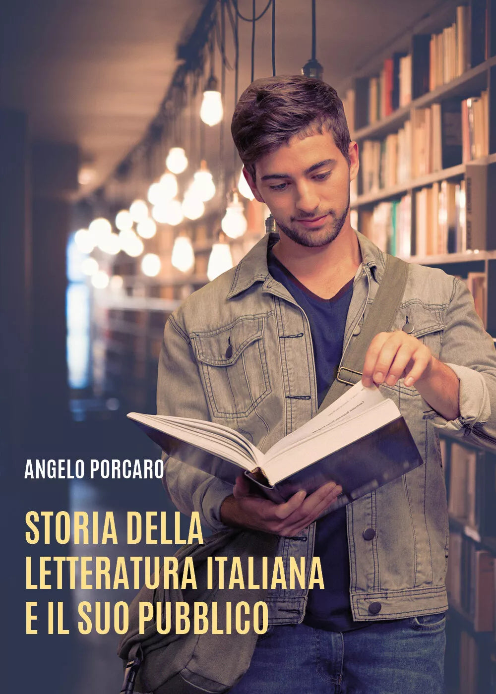 Storia della letteratura italiana e il suo pubblico di Angelo Porcaro