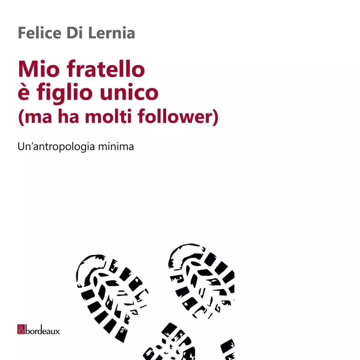 Mio fratello figlio unico