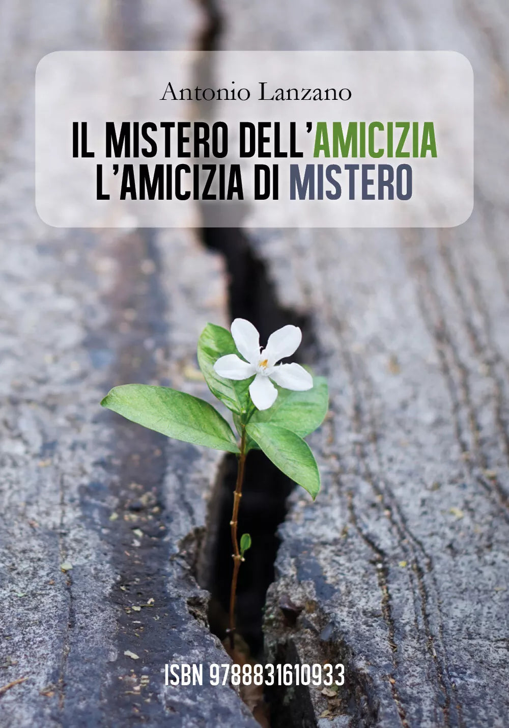 IL MISTERO DELL’AMICIZIA L’AMICIZIA DI MISTERO di Antonio Lanzano, 2019