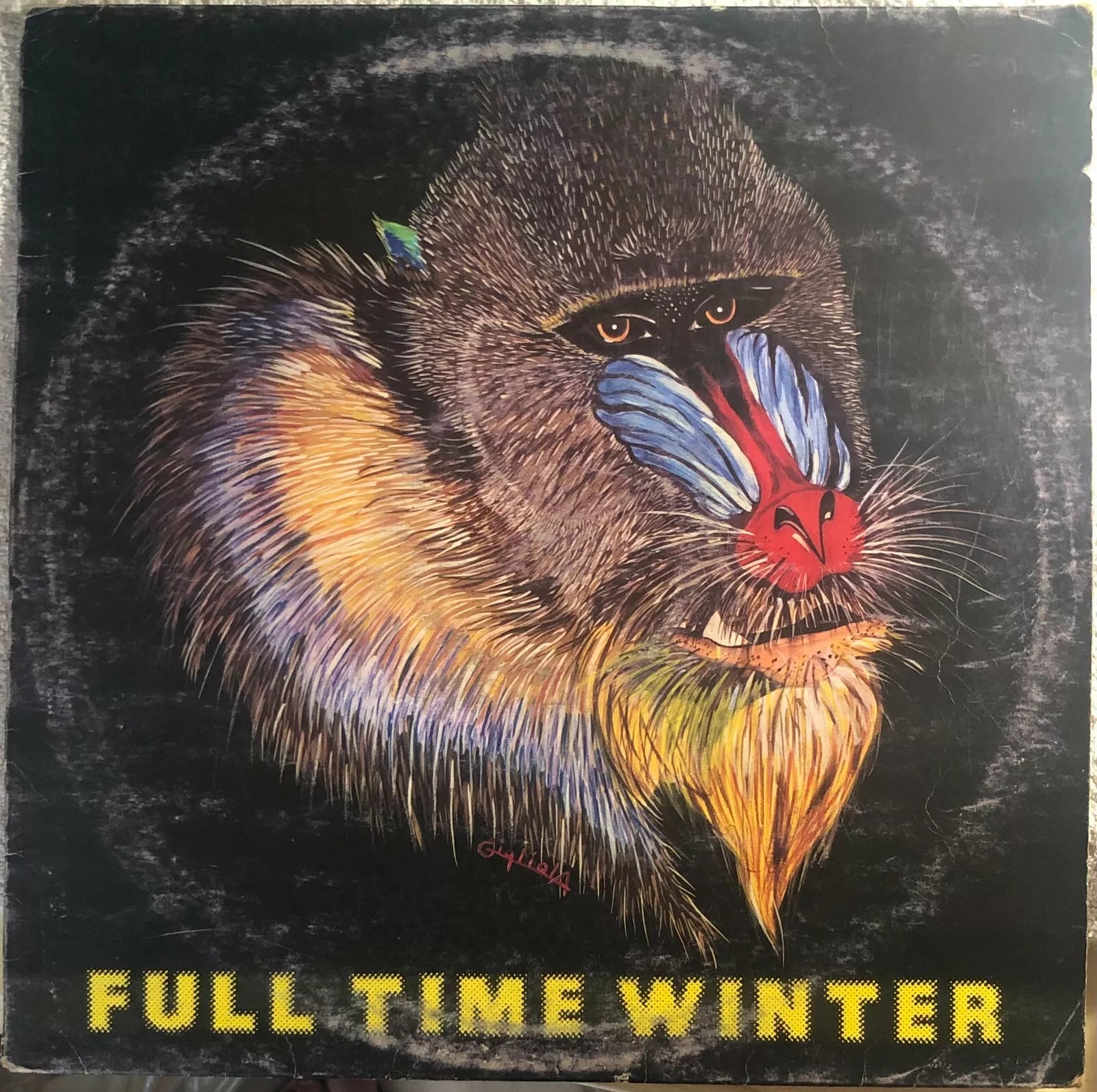 Full time winter VINILE di Aa vv