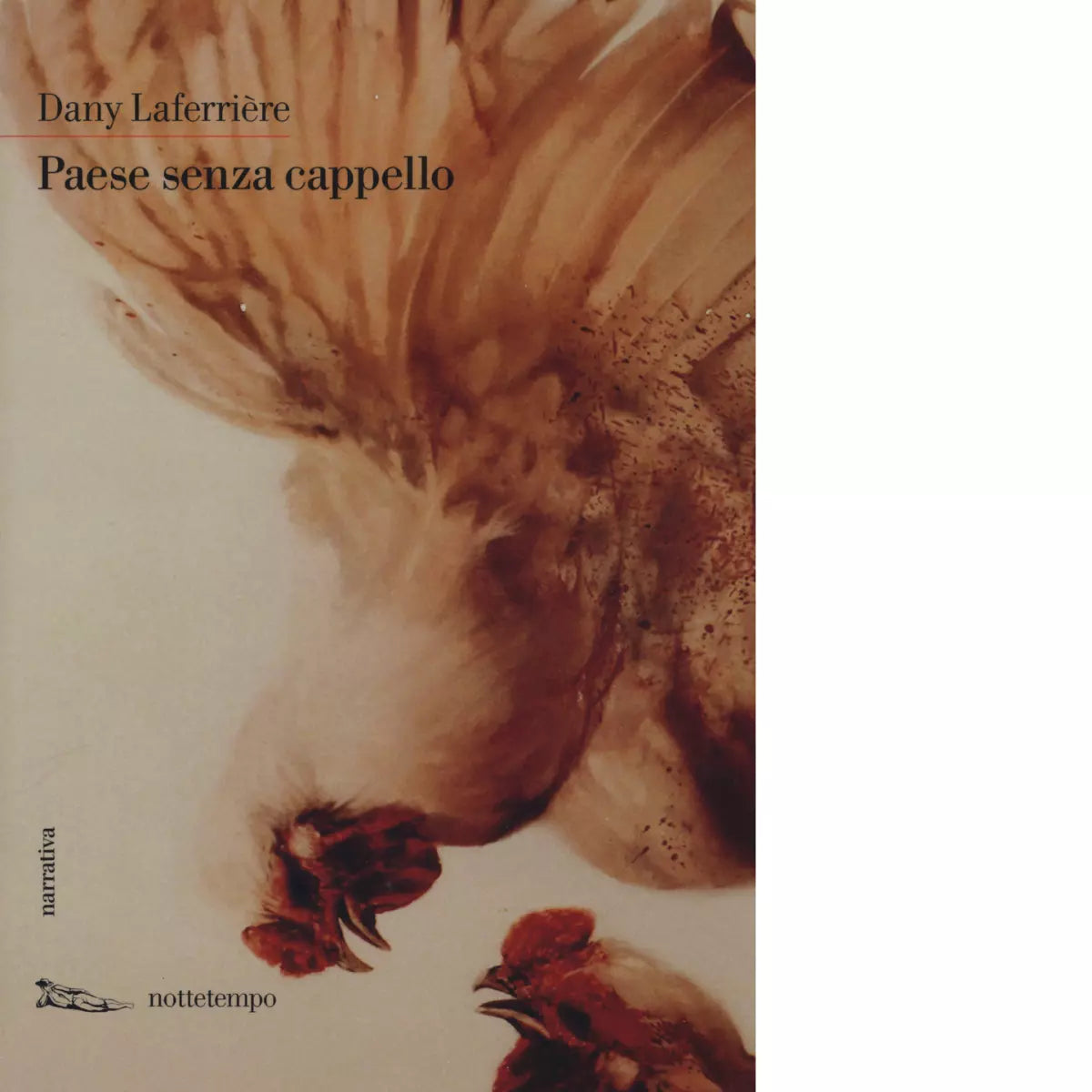 Paese senza cappello di Dany Laferri re