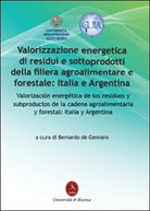 Valorizzazione energetica di residui e sottoprodotti della filiera agroaliment.