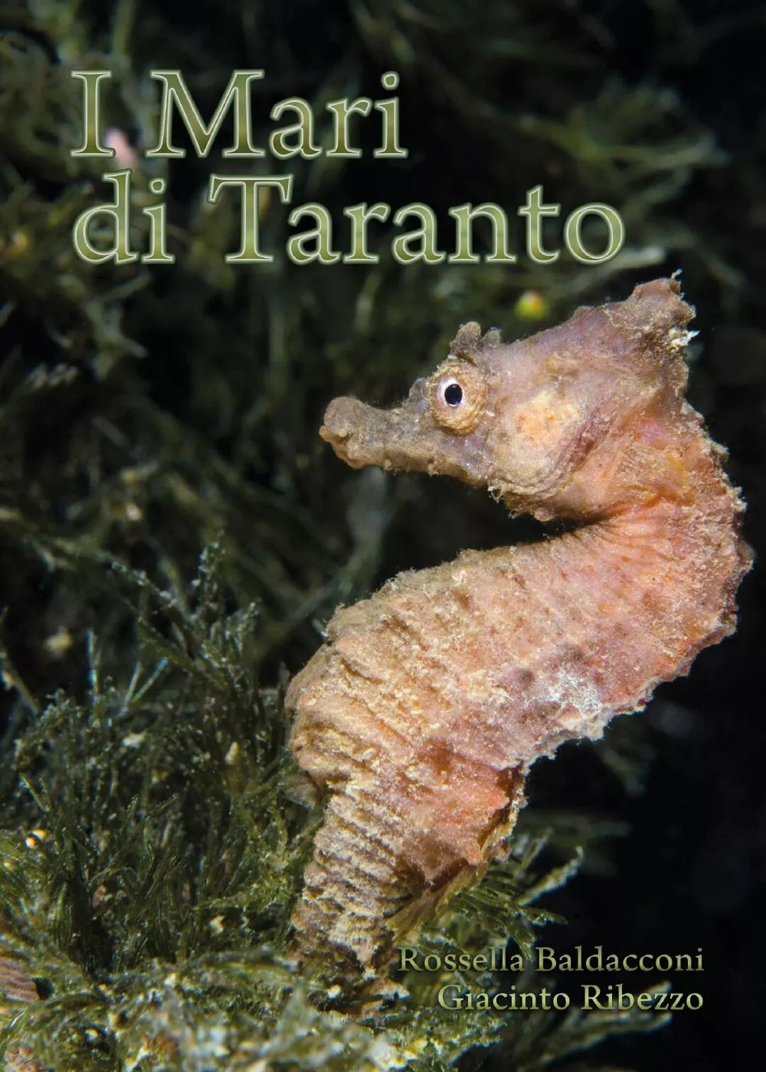 I Mari di Taranto di Rossella Baldacconi, Giacinto Ribezzo, 2016, Youcanprint
