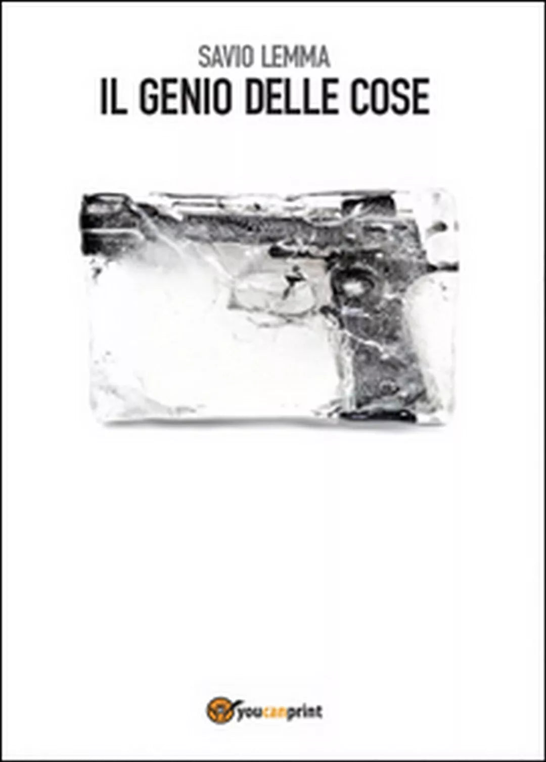 Il genio delle cose di Savio Lemma, 2016, Youcanprint