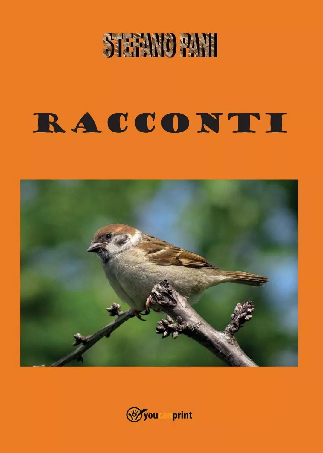Racconti di Stefano Pani, 2017, Youcanprint