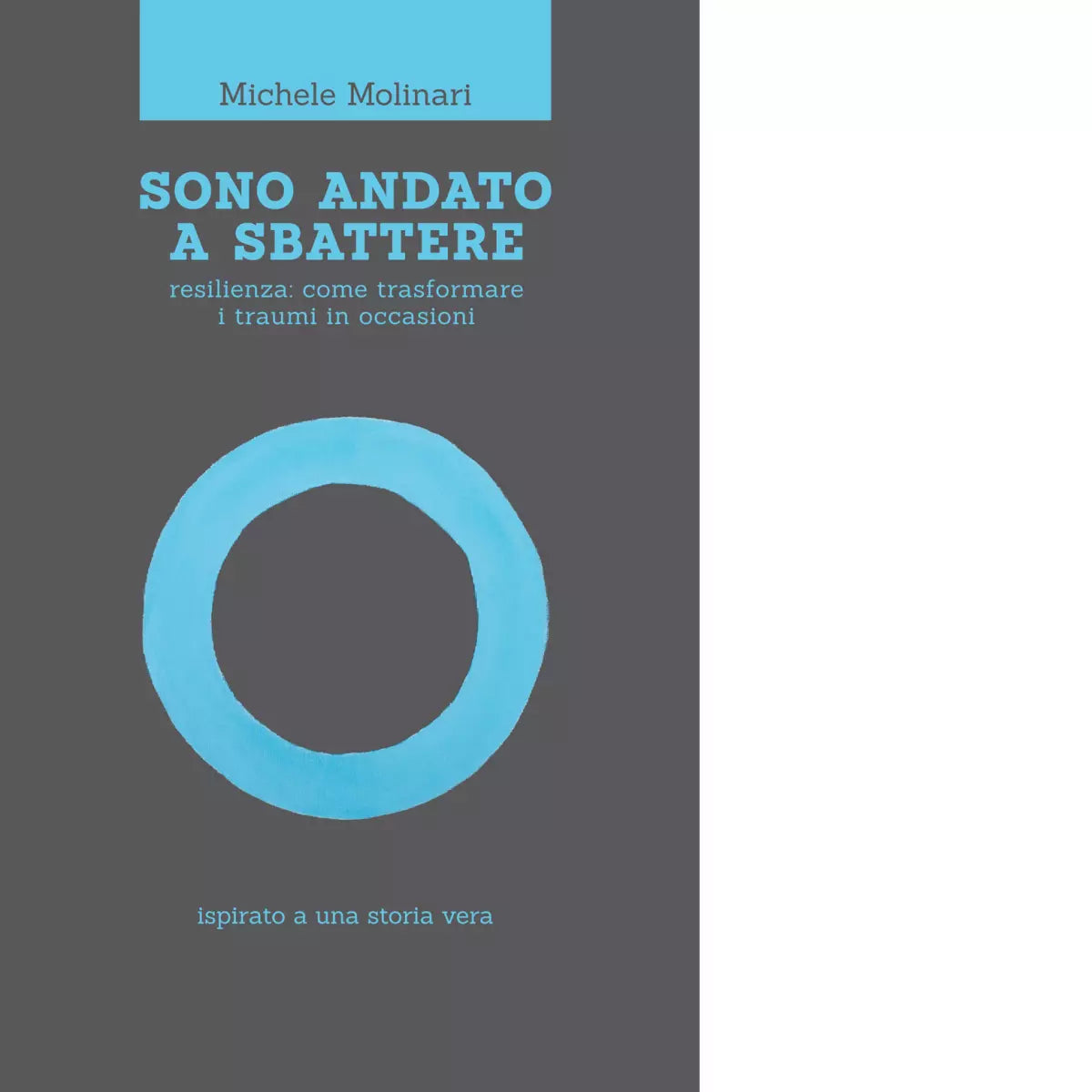 Sono andato a sbattere di Michele Molinari