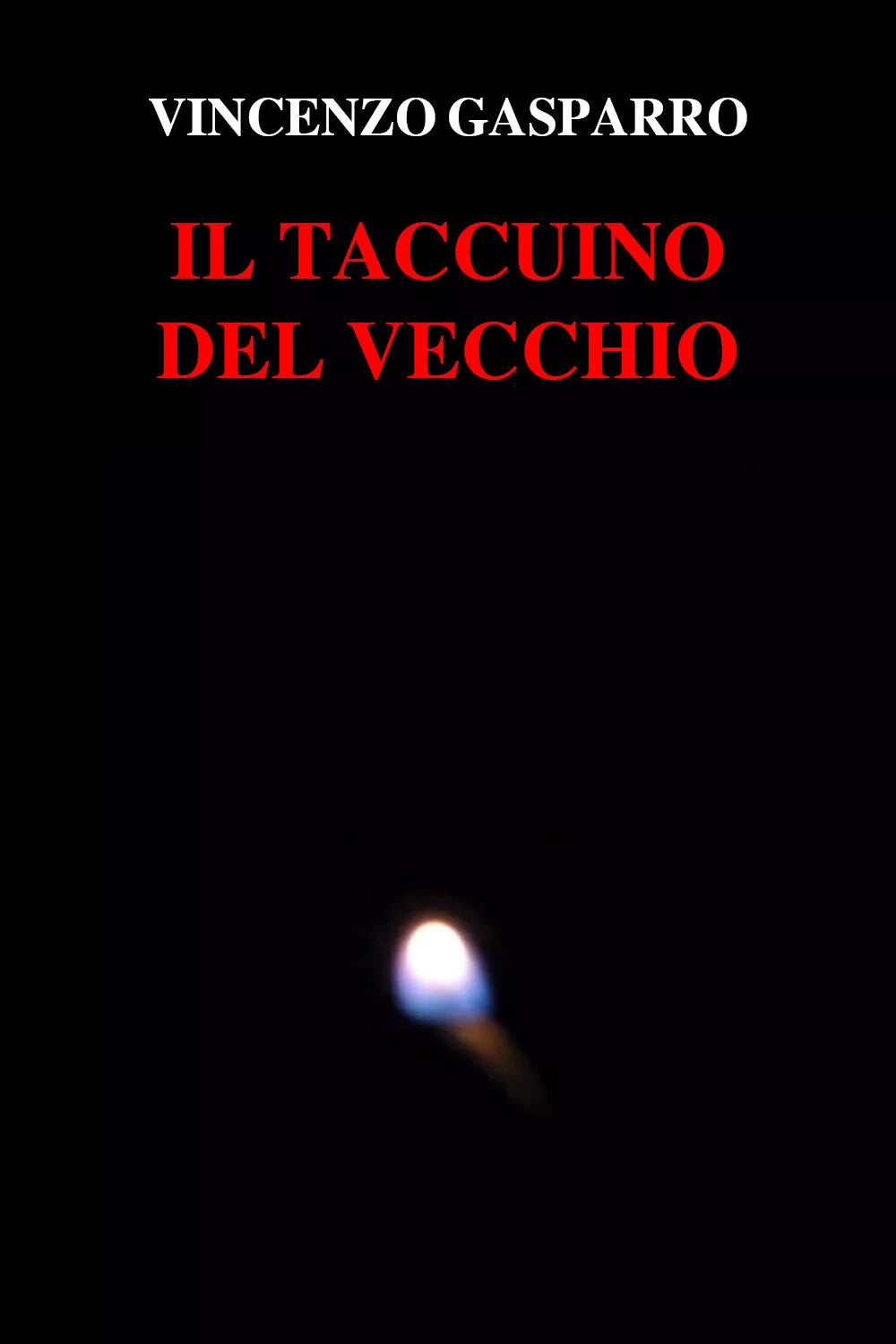 Il taccuino del vecchio di Vincenzo Gasparro, 2020, Youcanprint