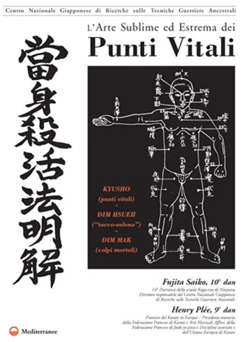 Fujita Saiko Henry Pl e