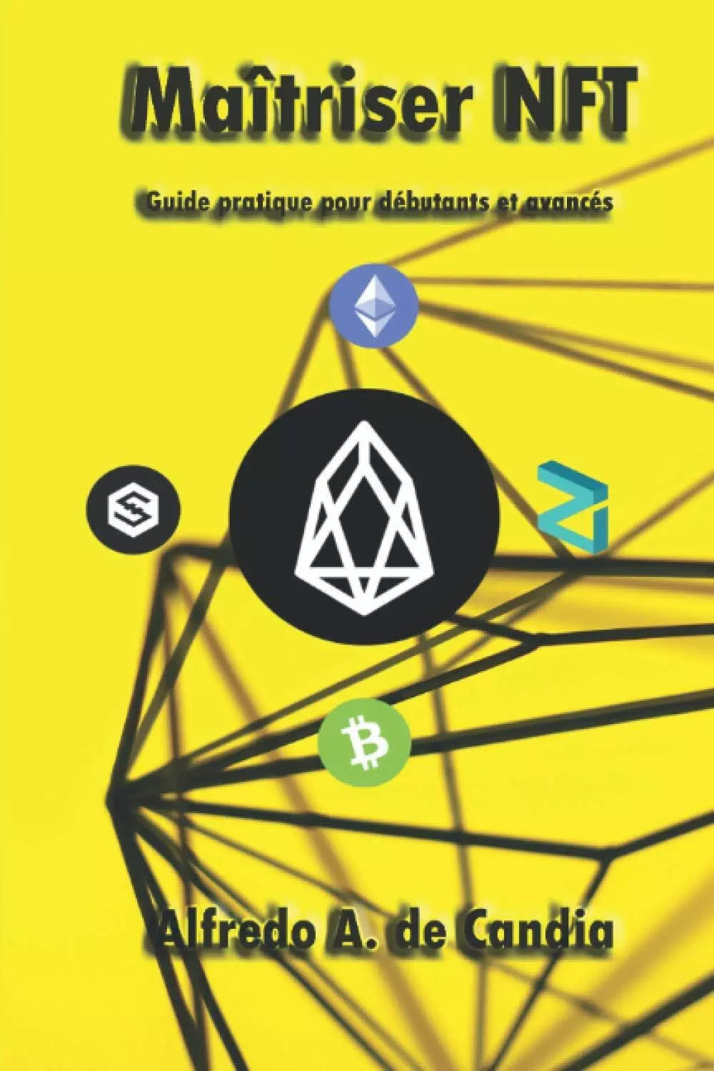 Maitriser NFT: Guide pratique pour debutants et avances di Alfredo Antonio De Ca