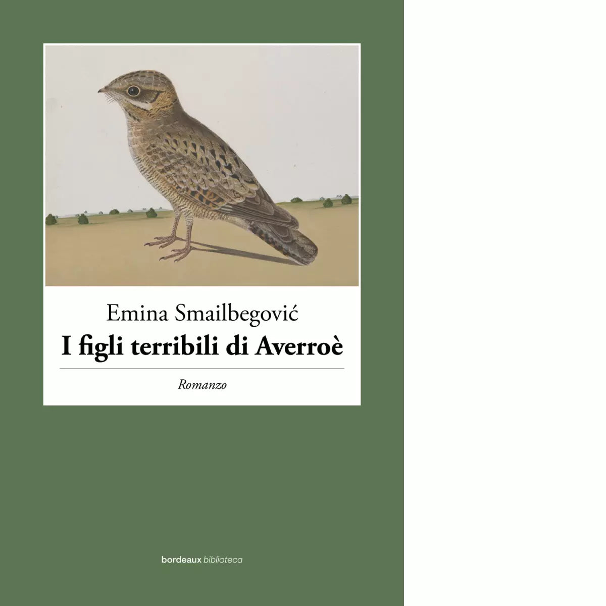 I figli terribili di Averro di Emina Smailbegovic
