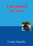 Coriandoli in volo di Cosmo Sancilio, 2021, Youcanprint