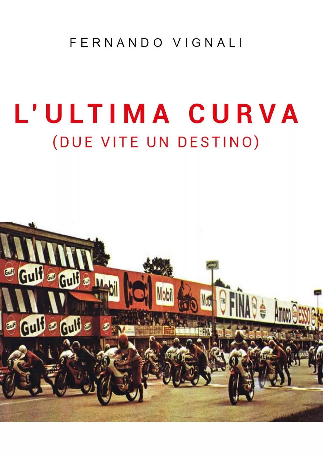 L’ultima curva due vite un destino di Fernando Vignali, 2021, Youcanprint