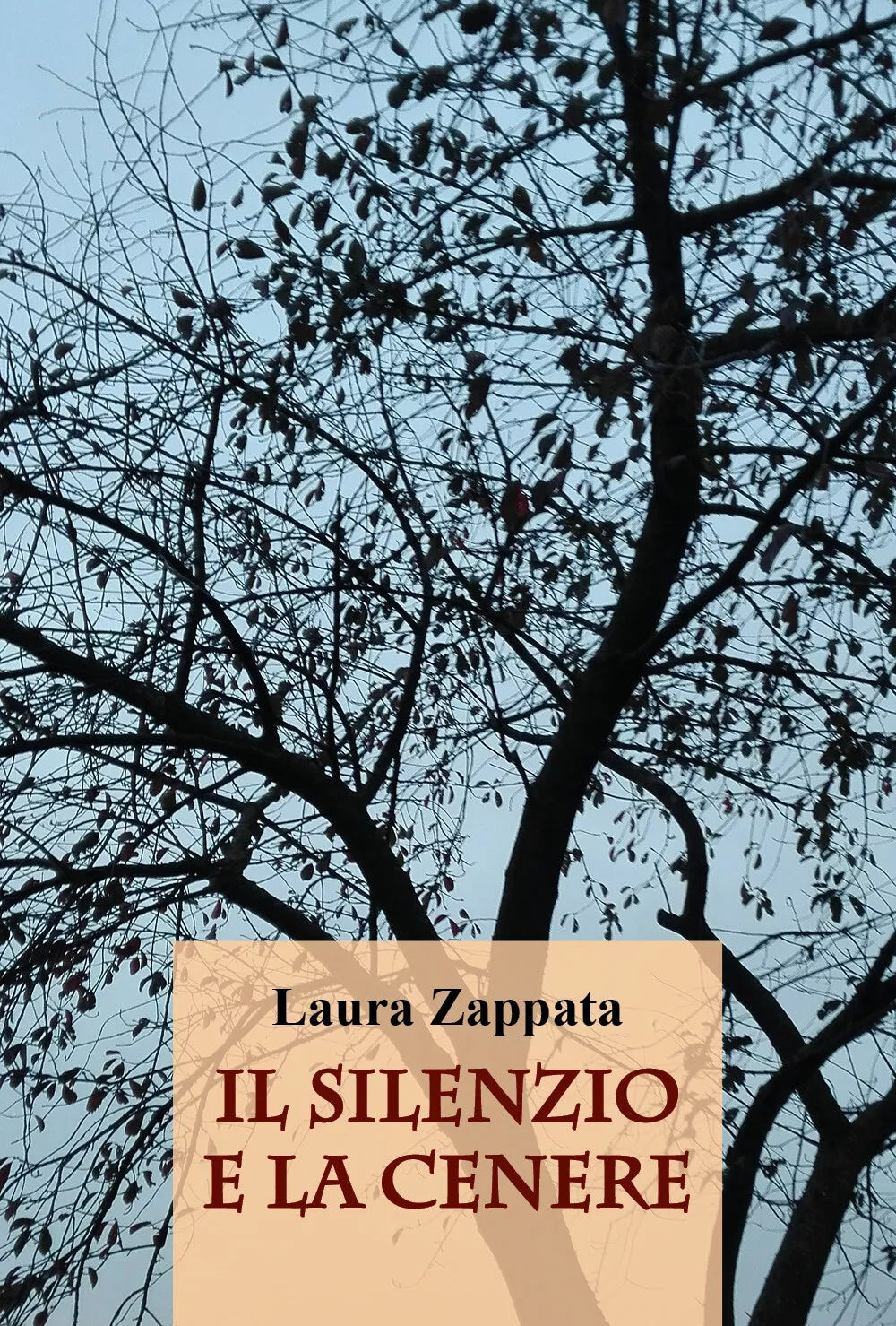 Il silenzio e la cenere di Laura Zappata