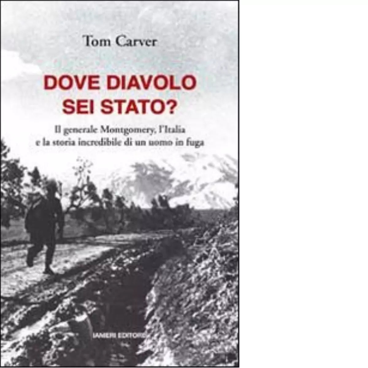 Dove diavolo sei stato di Tom Carver