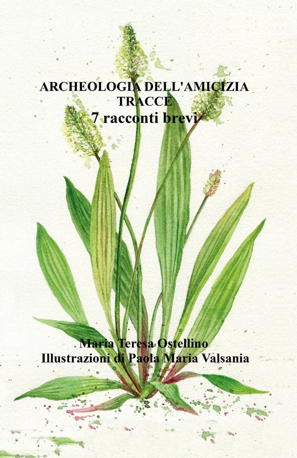 Archeologia dell’amicizia Tracce - Sette racconti brevi di Maria Teresa Ostelli