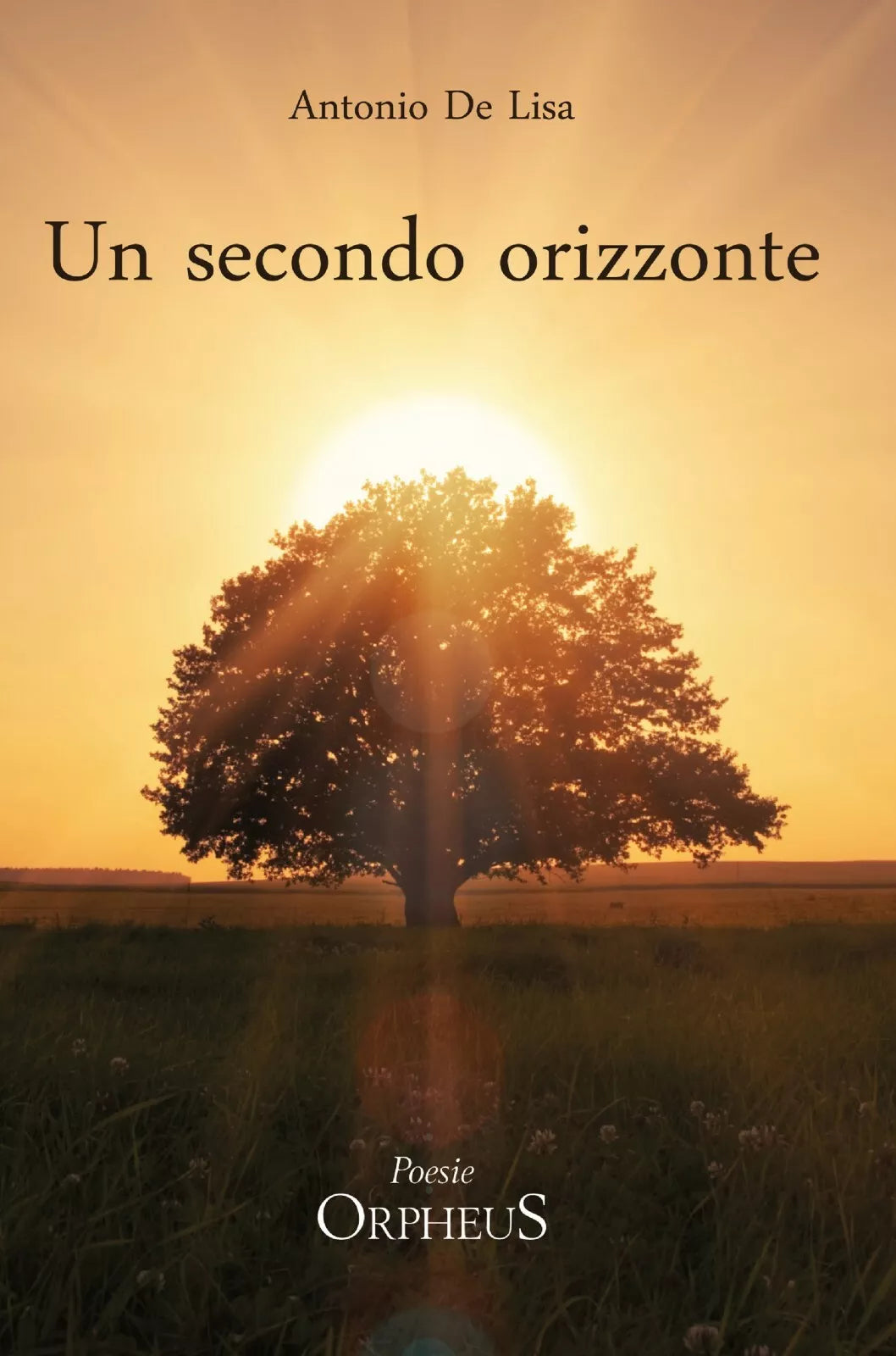 Un secondo orizzonte. Poesie 2012-2018 di Antonio De Lisa, 2020, Youcanprint