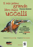 Il mio grande libro sugli uccelli di Francesco Barberini 2017 Stampa Alternativa