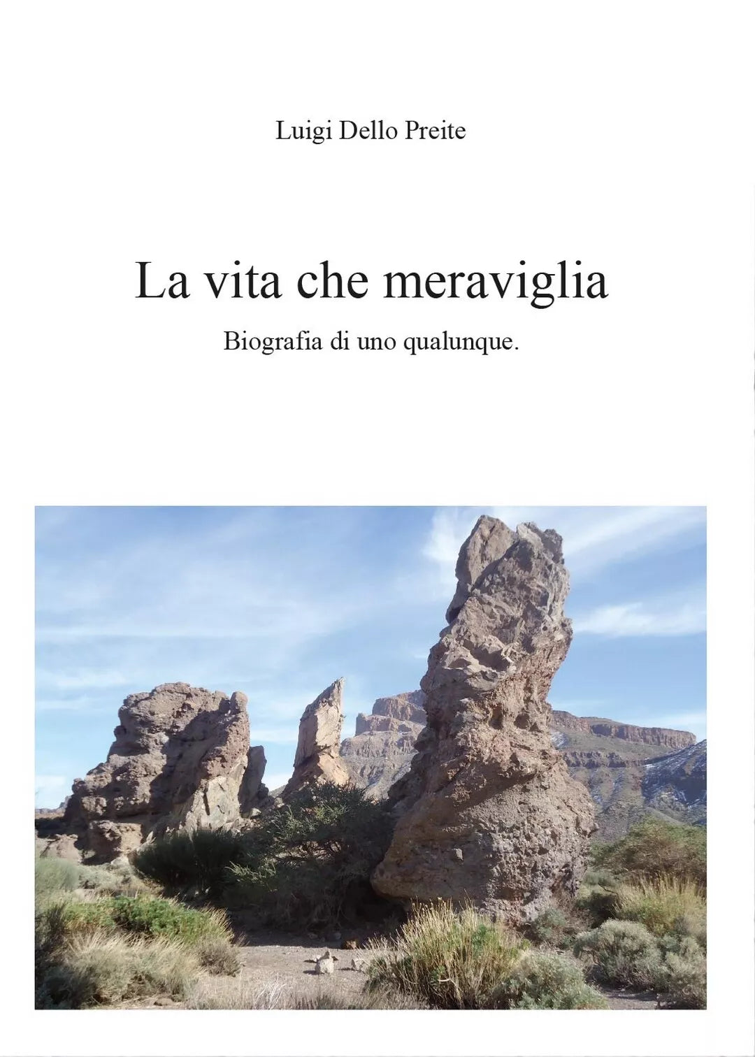 La vita. Che meraviglia di Luigi Dello Preite, 2014, Youcanprint