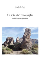 La vita. Che meraviglia di Luigi Dello Preite, 2014, Youcanprint