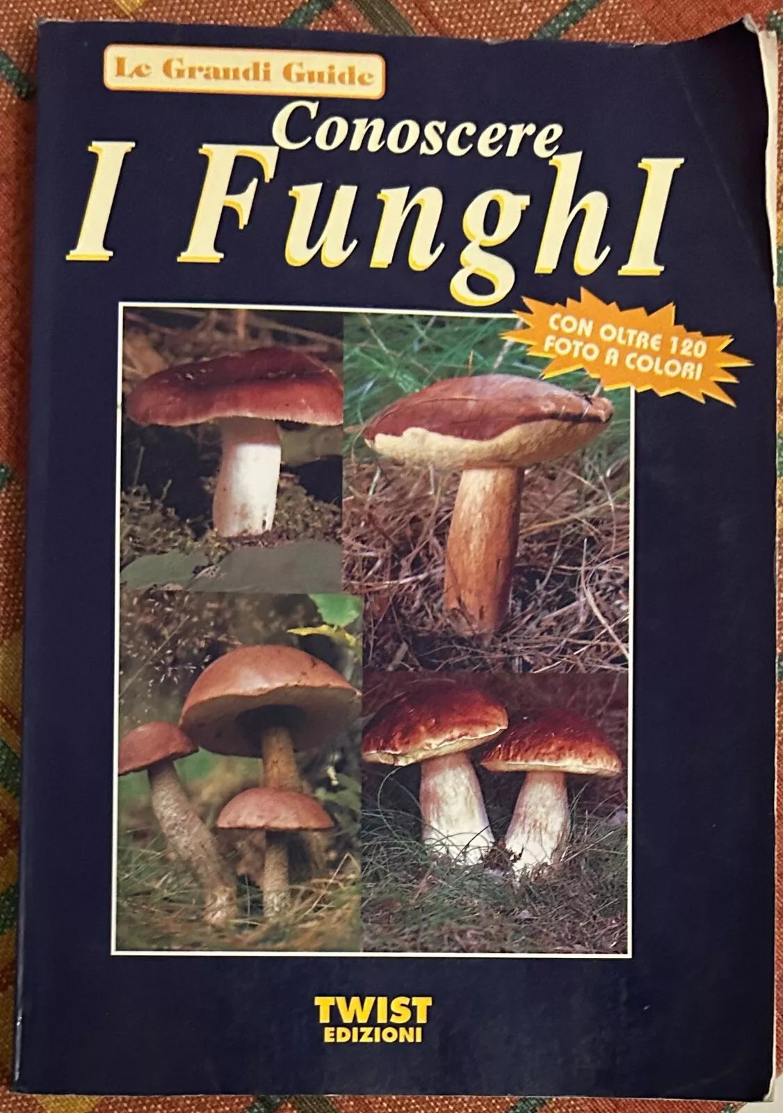 Conoscere i funghi di Aa vv