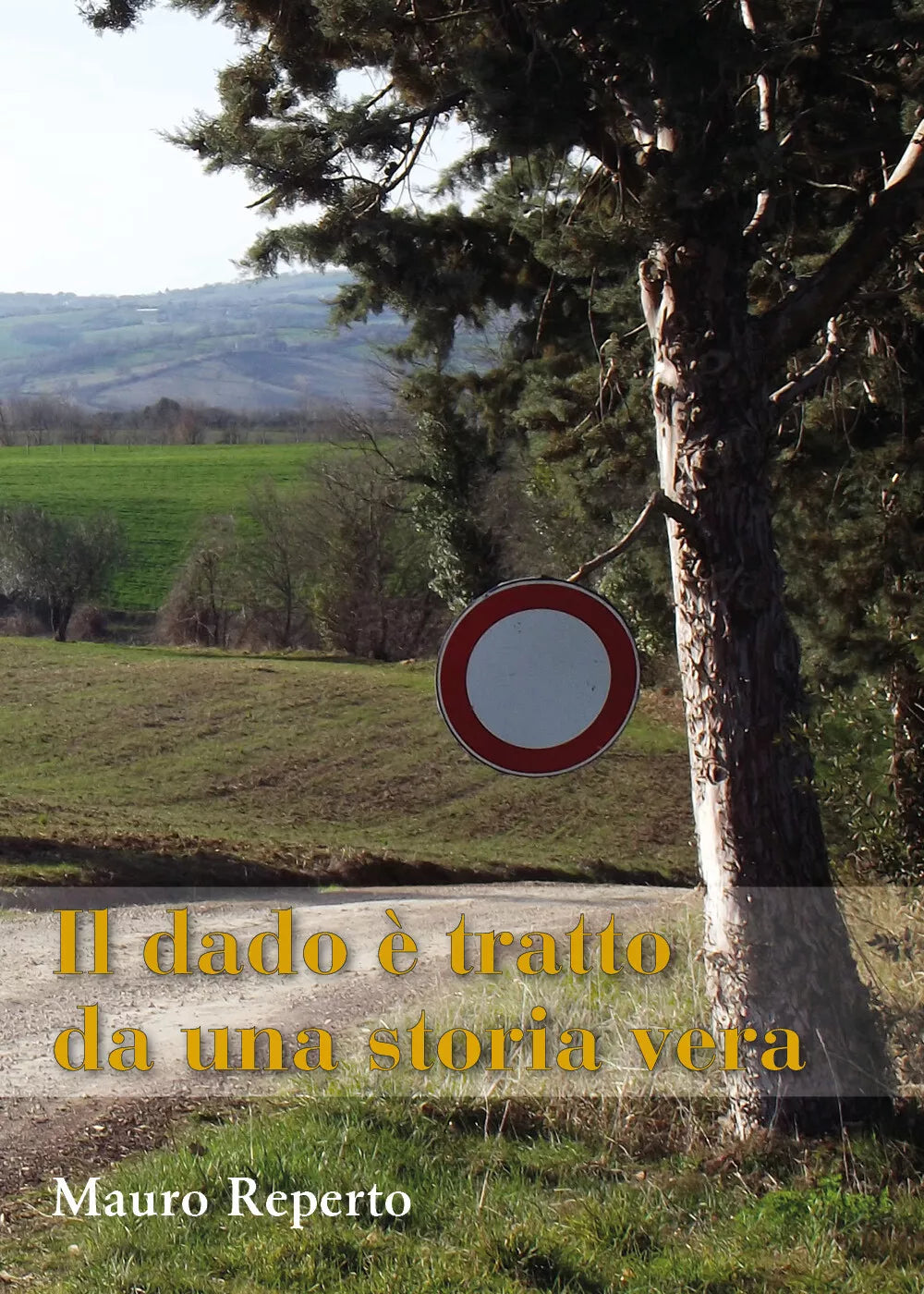 Il dado e tratto da una storia vera di Mauro Reperto, 2021, Youcanprint