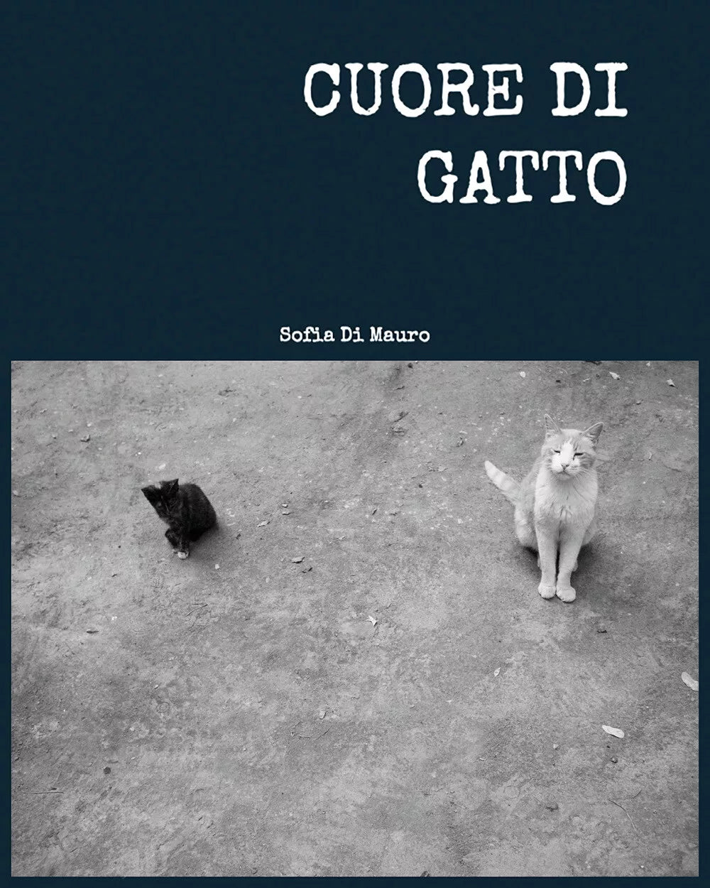 Cuore di gatto di Sofia Di Mauro