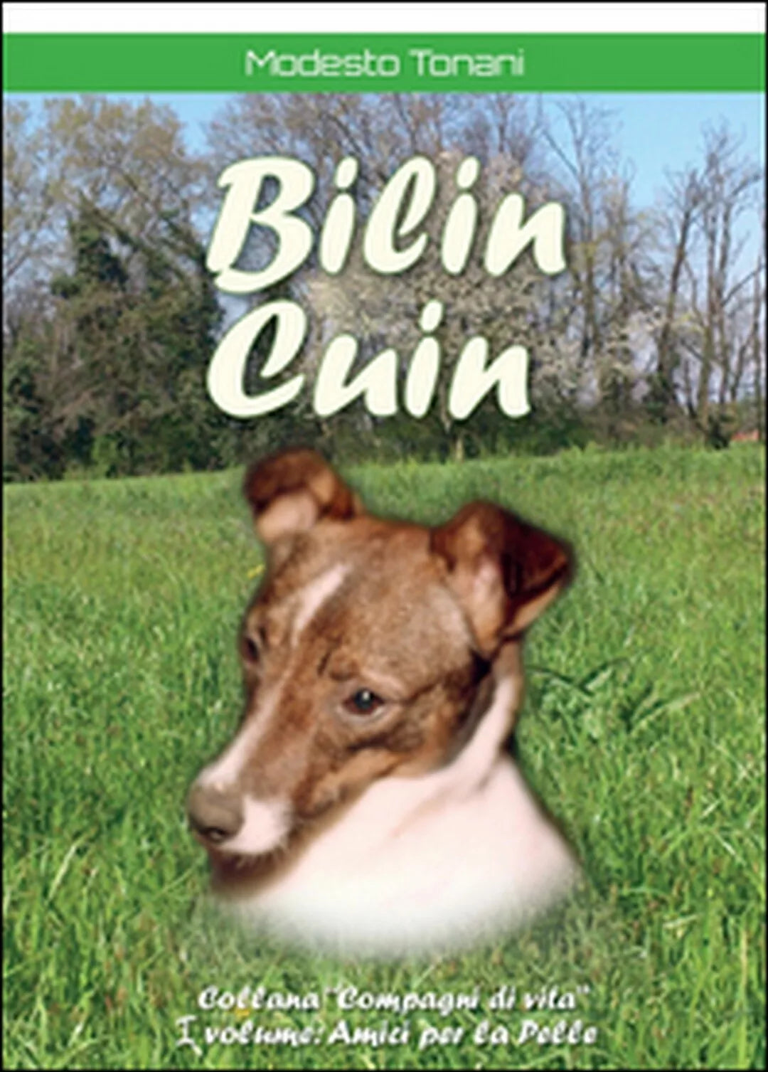Bilin Cuin di Modesto Tonani, 2015, Youcanprint