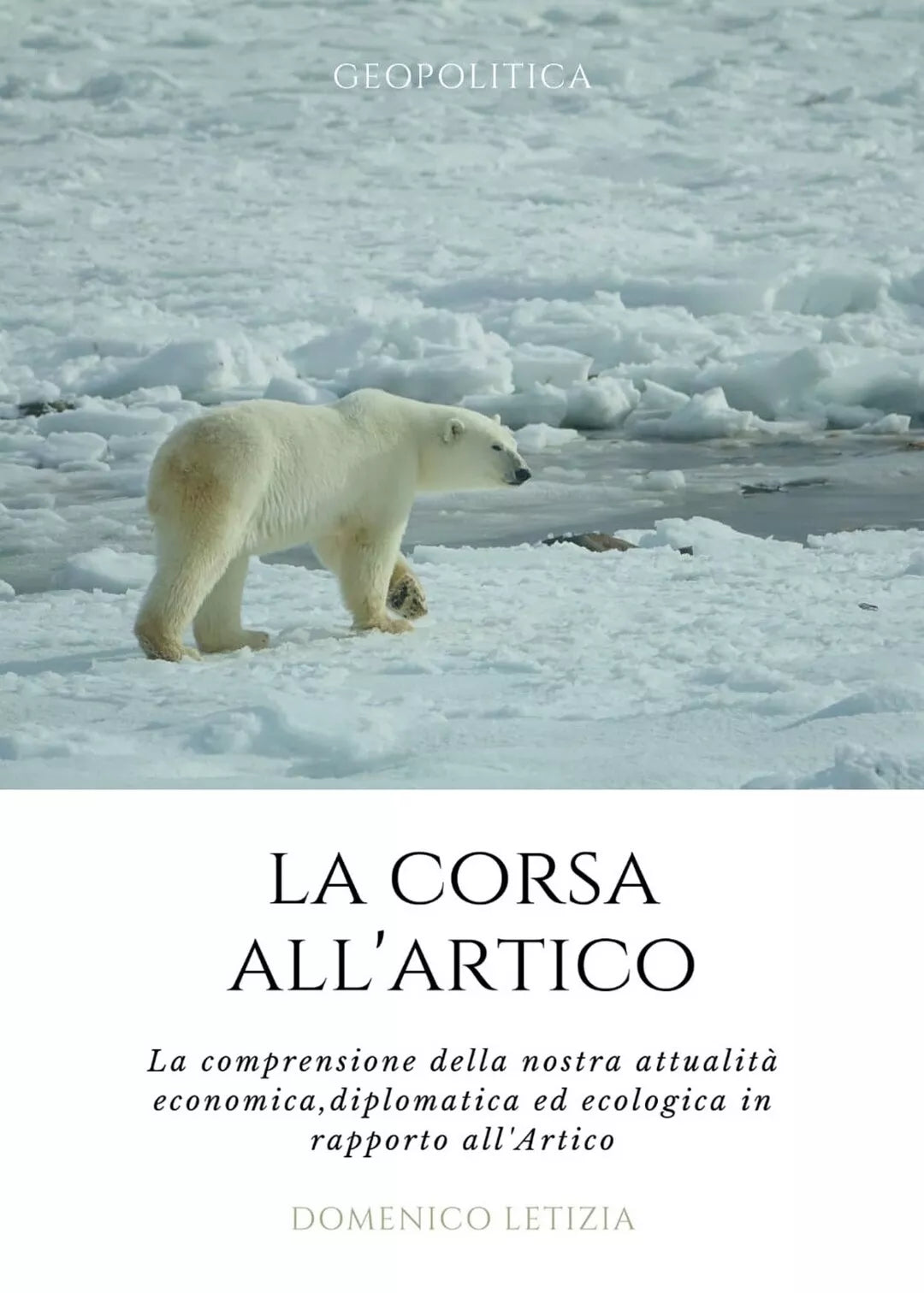 La Corsa all Artico. La comprensione della nostra attualita economica, diplomat.