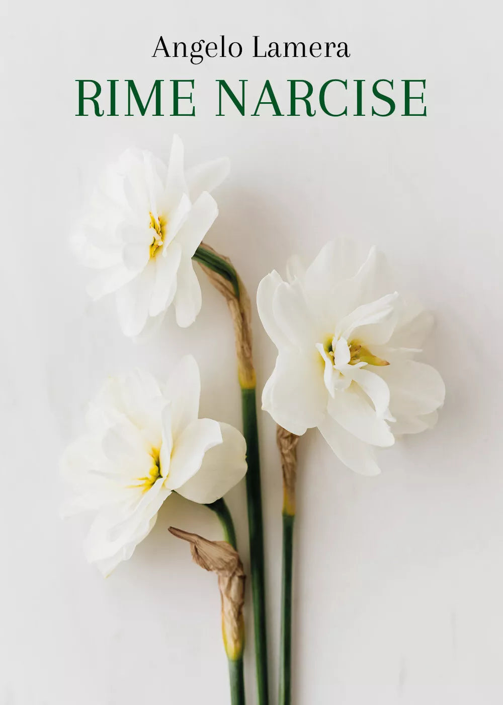 Rime narcise di Angelo Lamera, 2021, Youcanprint