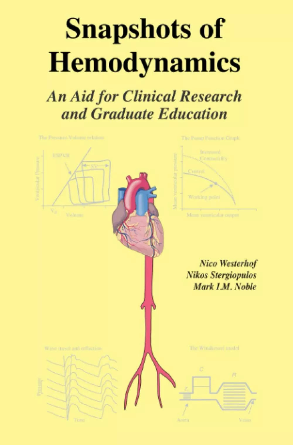 Snapshots of Hemodynamics