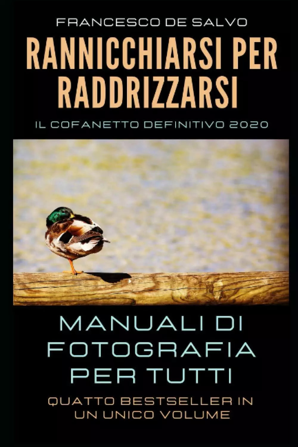 Rannicchiarsi per Raddrizzarsi Manuali Di Fotografia per Tutti di Francesco De S