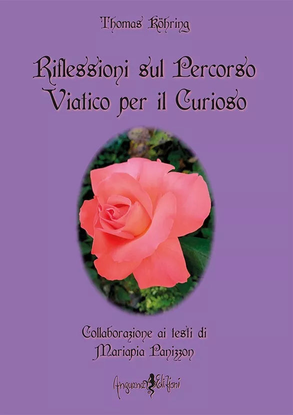 Riflessioni sul percorso viatico per il curioso di Thomas Kohring