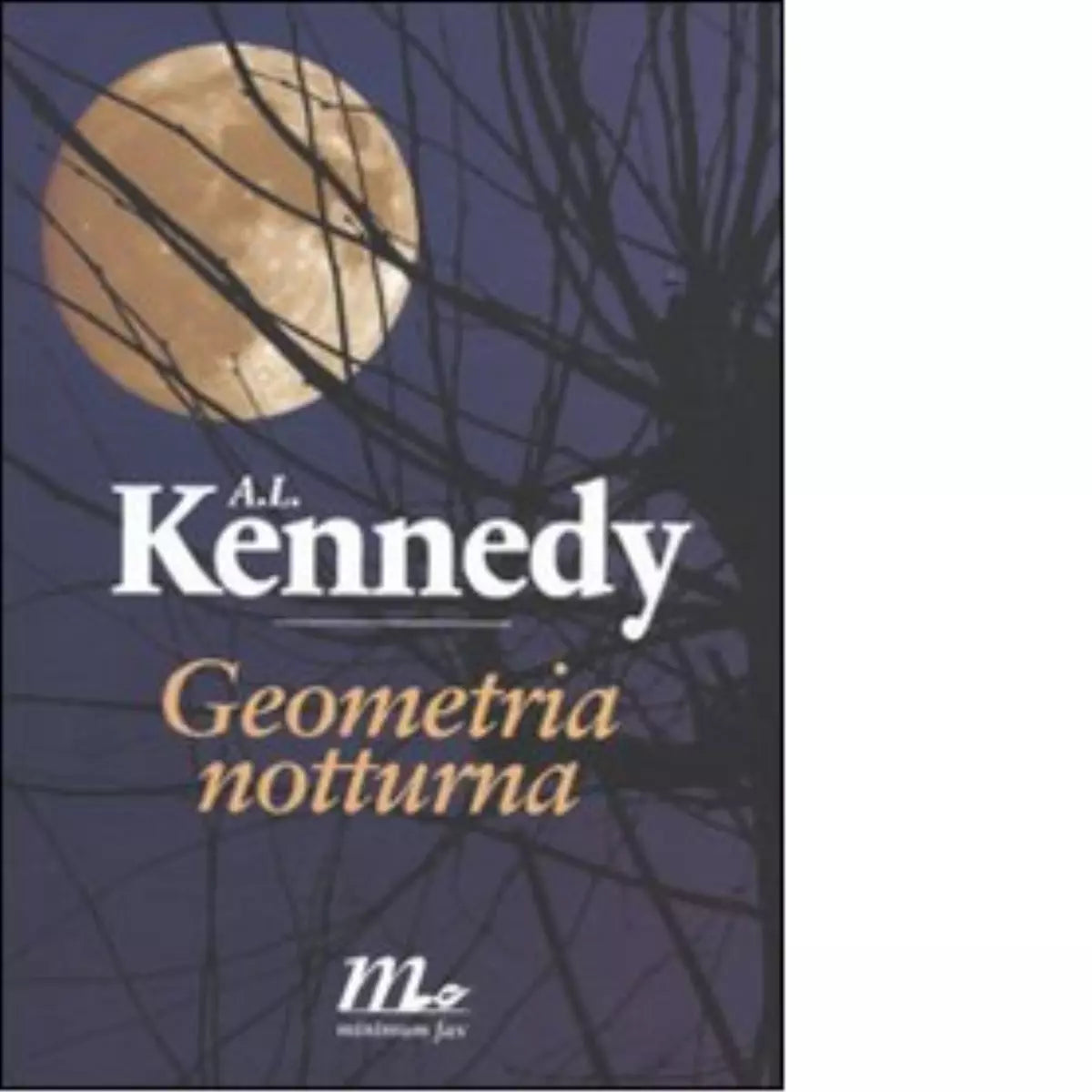 Geometria notturna di A L Kennedy
