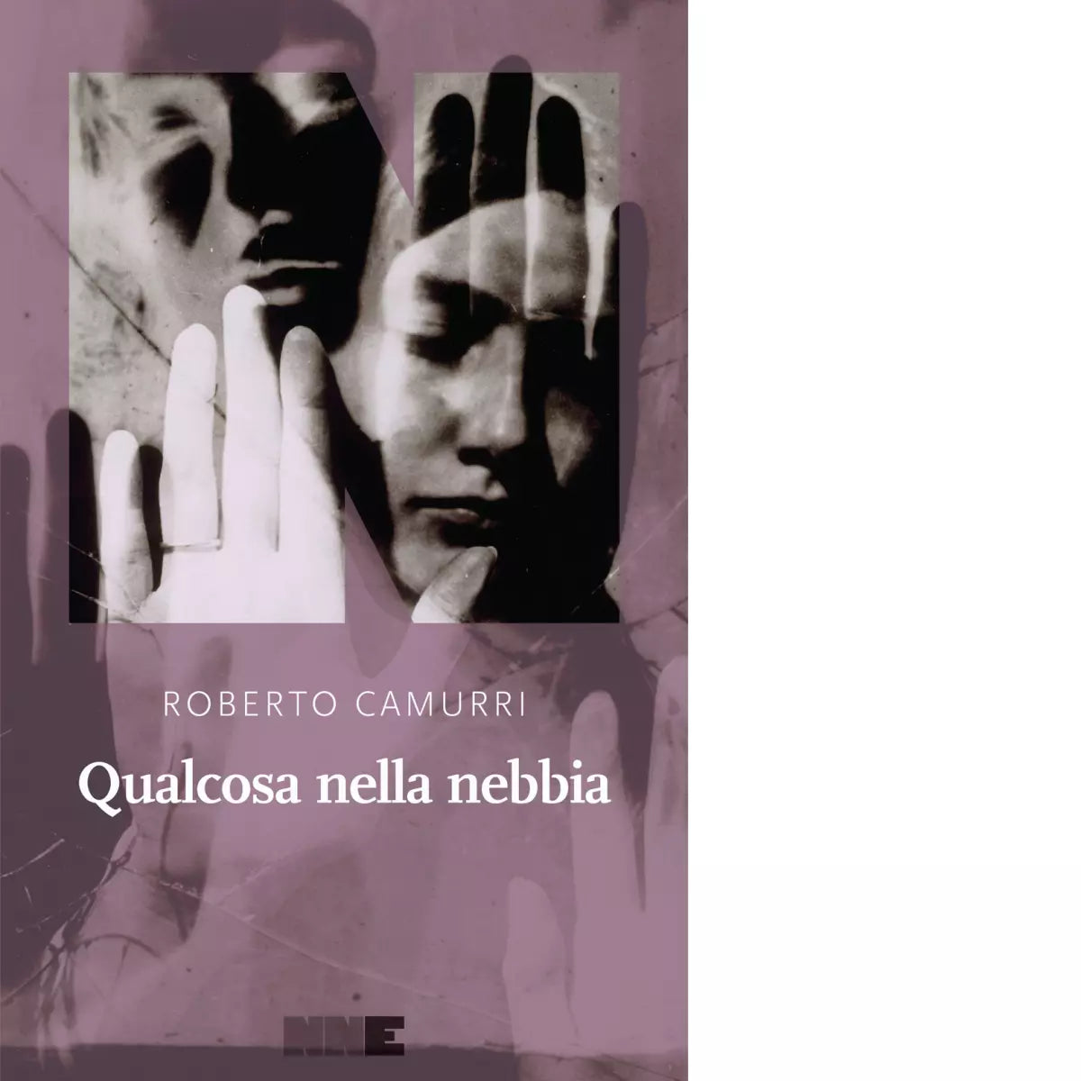 Qualcosa nella nebbia di Roberto Camurri