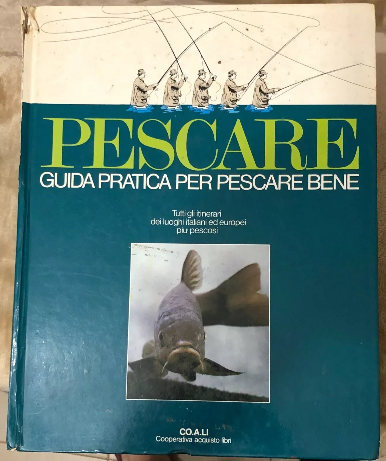 Pescare Guida pratica per pescare bene di Aa vv